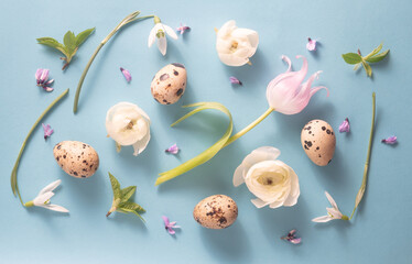  floral layout of tulip and ranunculus quail eggs on a soft blue background. Top view. Spring easter composition.