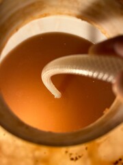 Birra artigianale, IGA