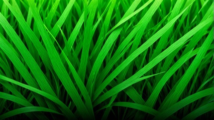 Background, wallpaper, texture, overlay