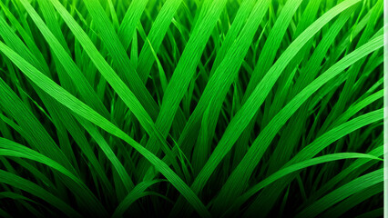 Background, wallpaper, texture, overlay