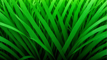 Background, wallpaper, texture, overlay