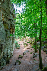 Trail between stones, tall trees and huge wall of rock formation eroded by passage of time, abundant green foliage in background, sunny day in Teufelsschlucht nature reserve, Irrel, Germany