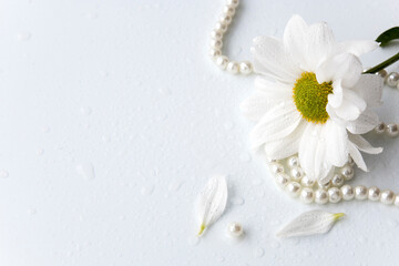 White chrysanthemum and pearls on white background with space for message