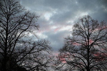 A melancholic sky with pink accents