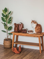A red cat, a woman's bag on a wooden bench, Chelsea boots, a homemade flower in a basket in the hallway interior