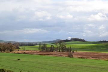 Fototapeta na wymiar farmland at the beginning of spring