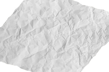 White Crumpled Paper with Ripped Edge