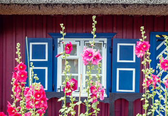 Beautiful flowers in front of an ethnographic house - 759025012