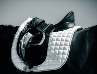 The dark horse is dressed in sports gear, including a saddle and stirrups, for equestrian events...