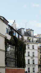 Obraz premium french apartment building