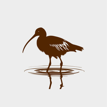 recommend clip art: glossy ibis bird animal silhouette 