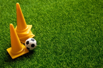 football academy , soccer training camp , education of sport