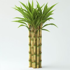 A single, freshly cut bamboo stalk, isolated on a white background.