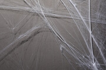 Creepy white cobweb hanging on gray background