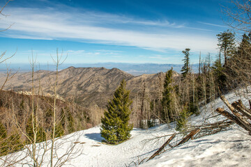 Mt. Lemmon in Tucson Arizona