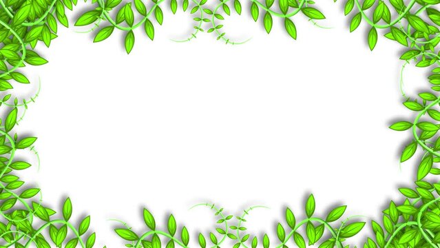 Beautiful plant leaves on white background. Animated leaves frame for decoration.