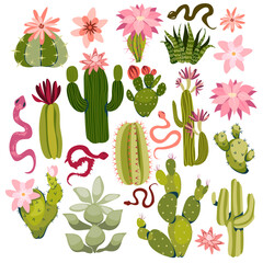Set of bright cactus, aloe and succulents vector