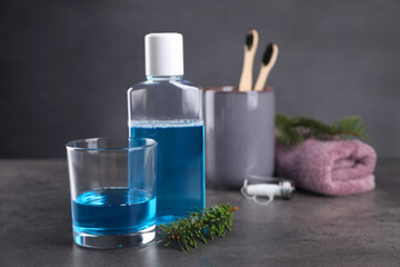 Fresh mouthwash in glass, bottle and fir branch on dark textured table, closeup