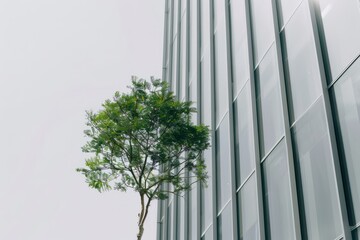 Sustainable green buildings in modern cities, sustainable glass office buildings, trees reduce heat and carbon dioxide. Green office building. Environmental green. Modern green office buildings reduce