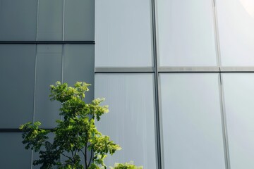 Sustainable green buildings in modern cities, sustainable glass office buildings, trees reduce heat and carbon dioxide. Green office building. Environmental green. Modern green office buildings reduce