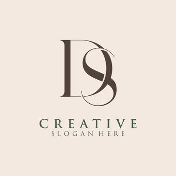 Luxury Initial DS  Monogram Text Letter Logo Design