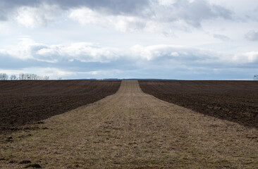 plowed field and sky