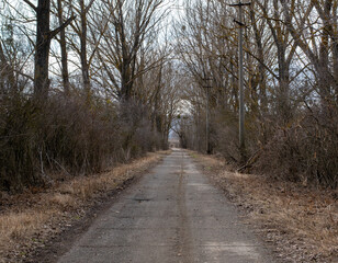 Ominous concrete path in the forest.