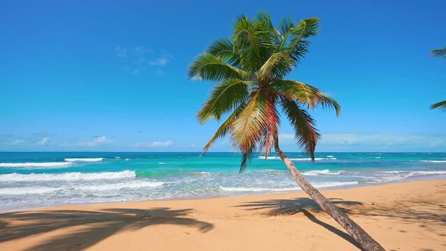Seascape of a Bahamas beach with palm trees on yellow sand against a blue sky with clouds. Paradise island on a sunny summer day. Romantic idealistic image of an exotic beach holiday.