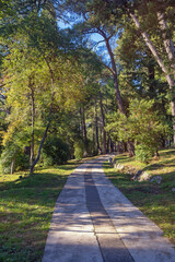 Walkway in park on sunny day. Montenegro, Tivat city. View of  Large Town Park