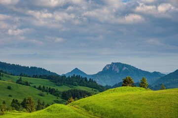 Green field and view of Trzy Korony, Pieniny Mountains Peak in Poland at Spring. Fresh green spring landscape, beautiful Poland © Ivan