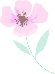 coquette Pink Flower