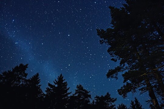 Clear night sky full of stars