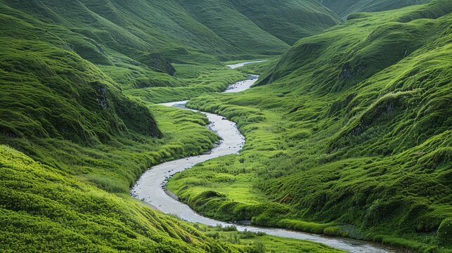Winding river flowing through a verdant spring valley