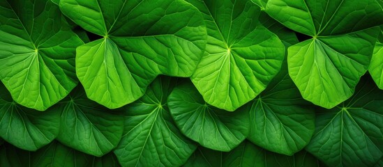 Bright green leaf covering
