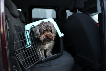 Cute dog in pet carrier travelling by car. Safe transportation