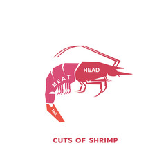 vector illustration guide Meat cuts set. shrimp Butcher Poster diagrams and schematics.