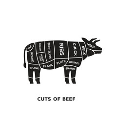vector illustration guide Meat cuts set. beef Butcher Poster diagrams and schematics.	