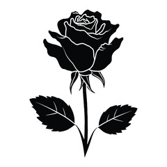 Rose Silhouette