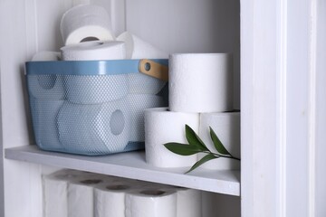 Toilet paper rolls and green leaves on white shelf