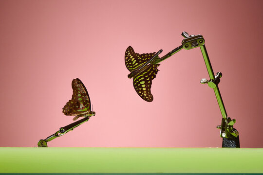 Metal clip holds butterfly over green surface