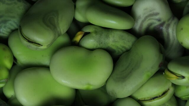 Video of raw peeled beans. Concept of natural food.