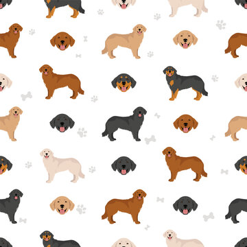 Hovawart dog seamless pattern. Different poses, coat colors set
