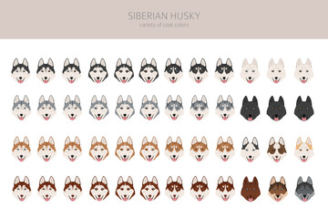 A ОБРАЗЕЦ цвета окрасы