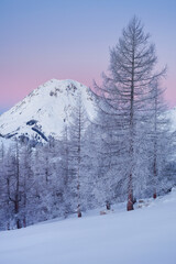 Rötelstein von der Walcheralm, Dachtein Massiv, Steiermark, Österreich