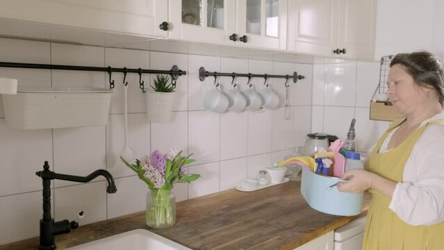 mature woman, corpulent housekeeper wiping down kitchen counter, spring home cleaning, cleaning wipes, detergents, hyacinth flowers in vase on table, division of household labor