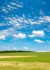 Green spring field and blue sky with clouds.