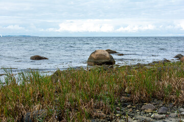 Fototapeta na wymiar Big stones in the waves on a coast with green grass