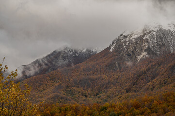 Molise, Mainarde. Autumn landscape. Foliage