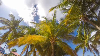 Fototapeta na wymiar Tropical beach of Princess Cays Island