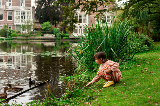 little girl feeding ducks at lakeside